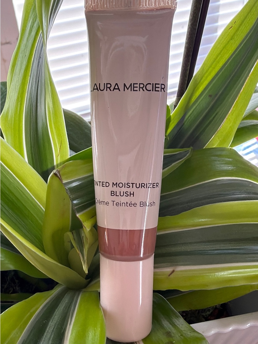 laura mercier Tinted Moisturizer Blush - Rose COASTLINE